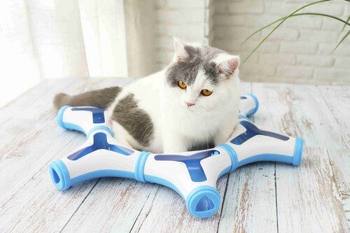 �������